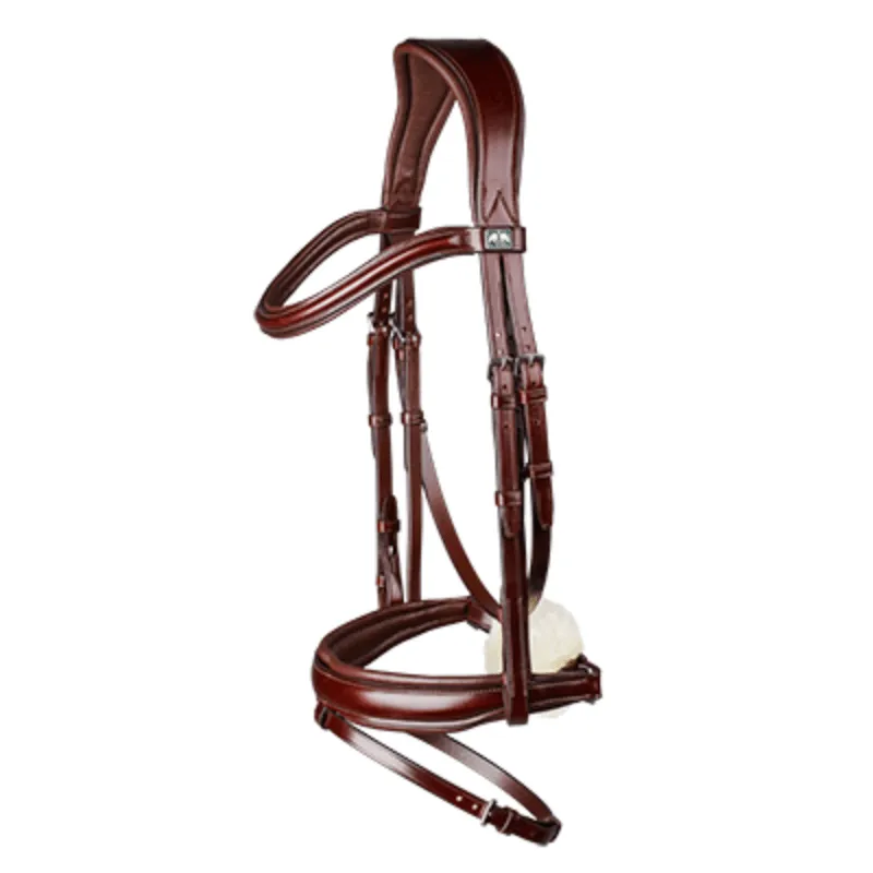 Arena Dressage Bridle